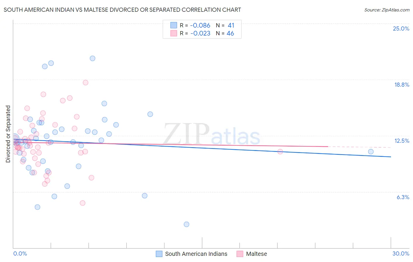 South American Indian vs Maltese Divorced or Separated