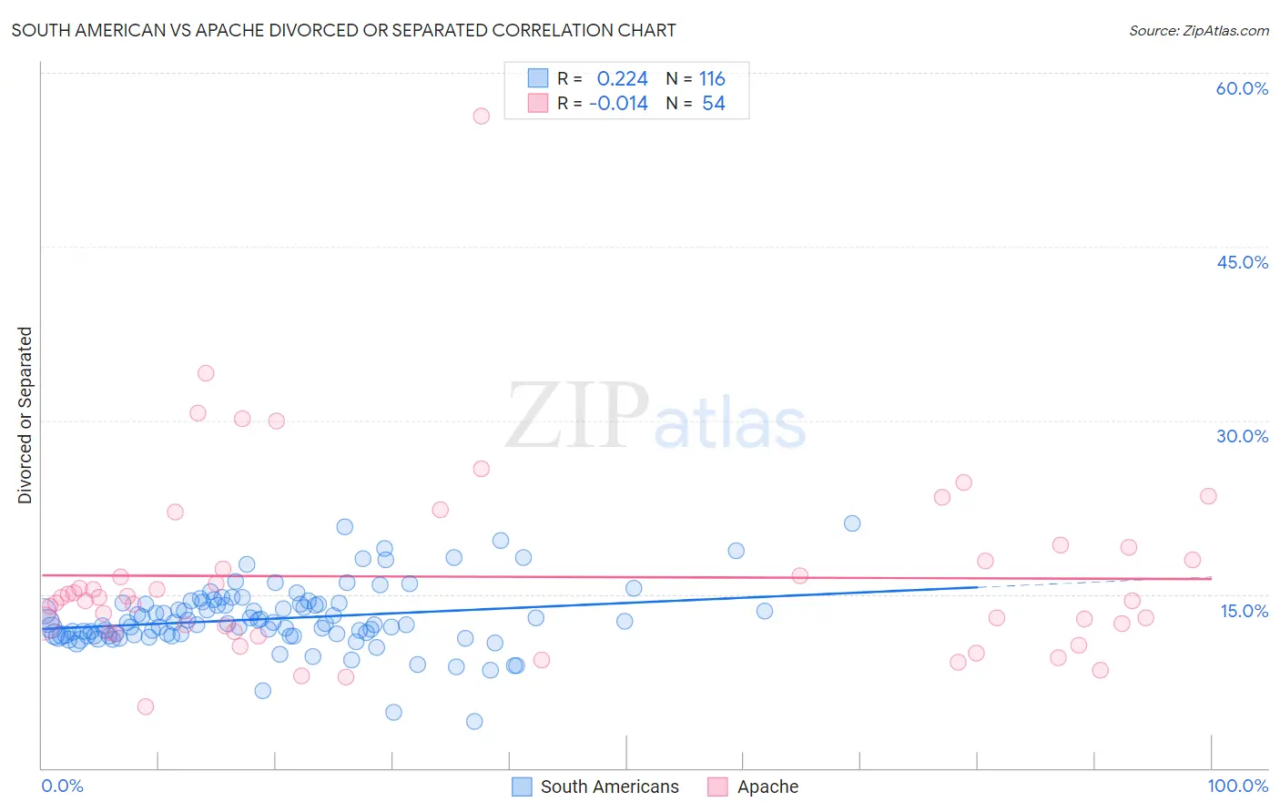 South American vs Apache Divorced or Separated