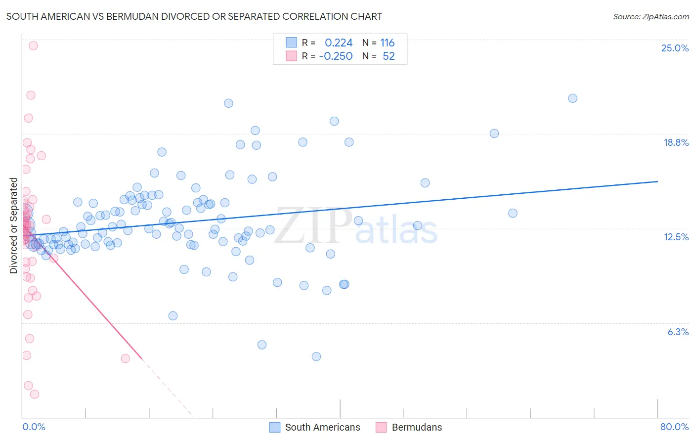 South American vs Bermudan Divorced or Separated