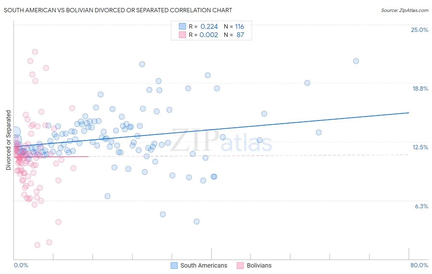 South American vs Bolivian Divorced or Separated
