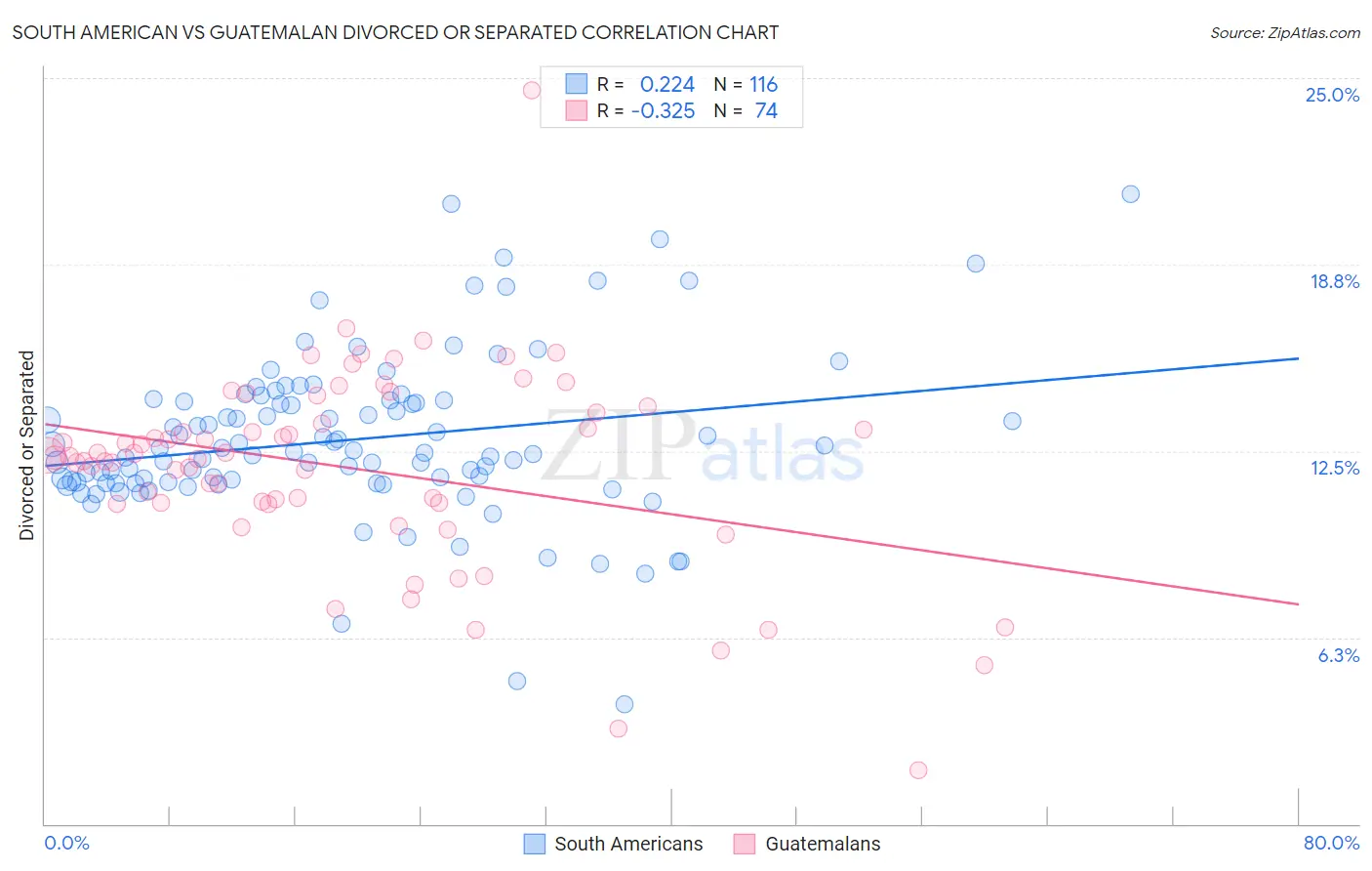 South American vs Guatemalan Divorced or Separated