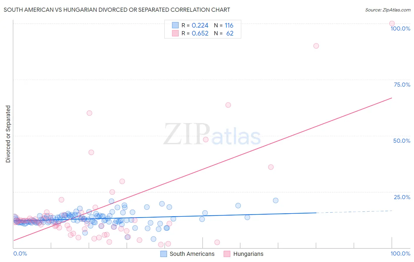 South American vs Hungarian Divorced or Separated