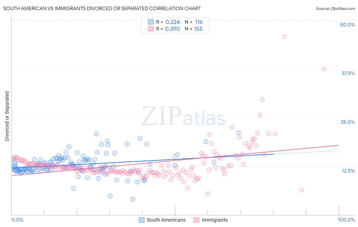 South American vs Immigrants Divorced or Separated