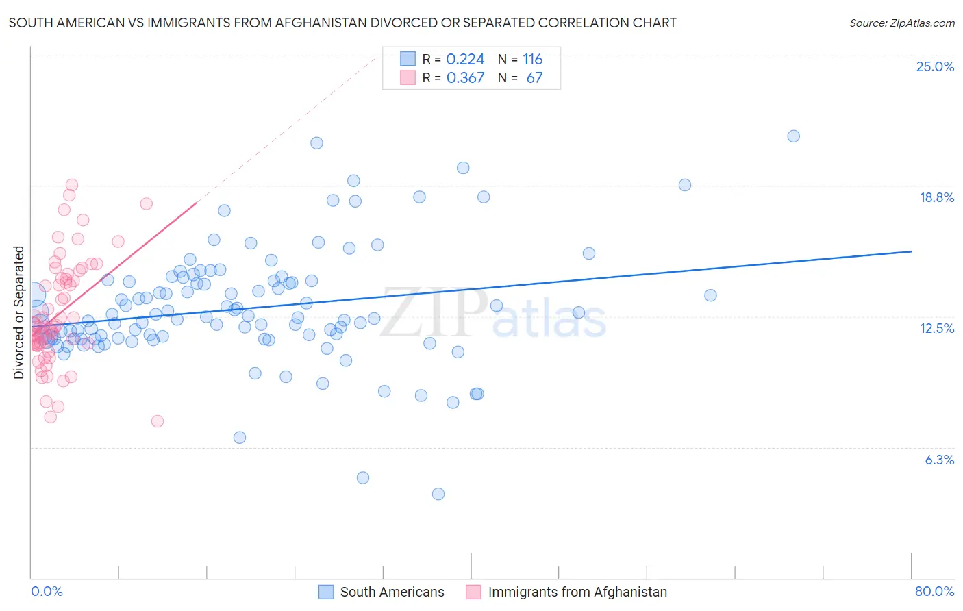 South American vs Immigrants from Afghanistan Divorced or Separated