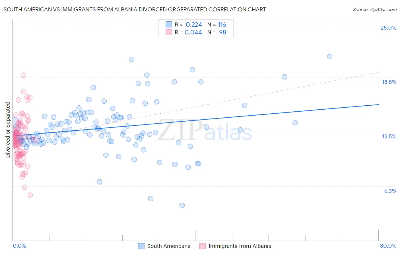 South American vs Immigrants from Albania Divorced or Separated