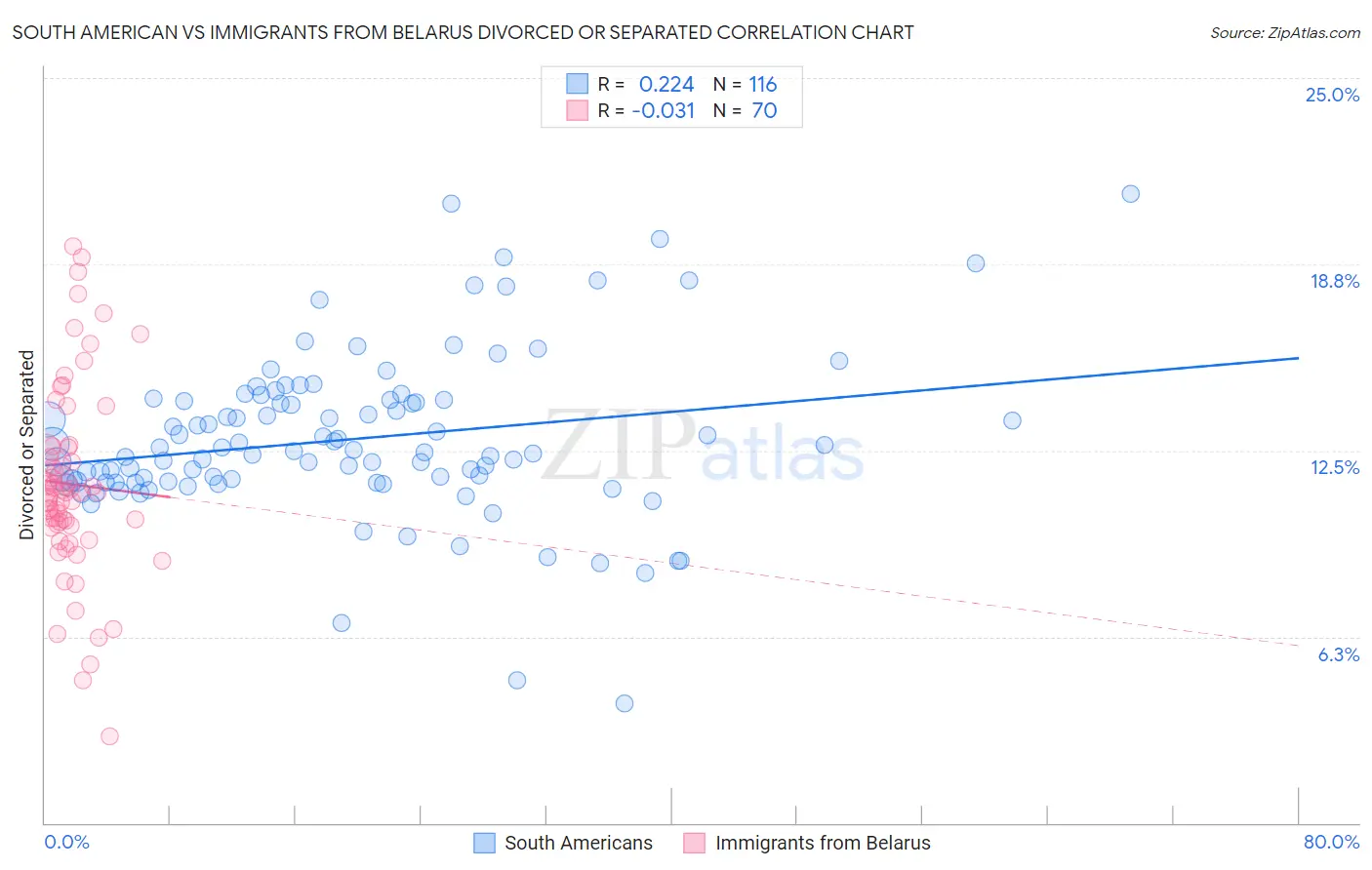 South American vs Immigrants from Belarus Divorced or Separated