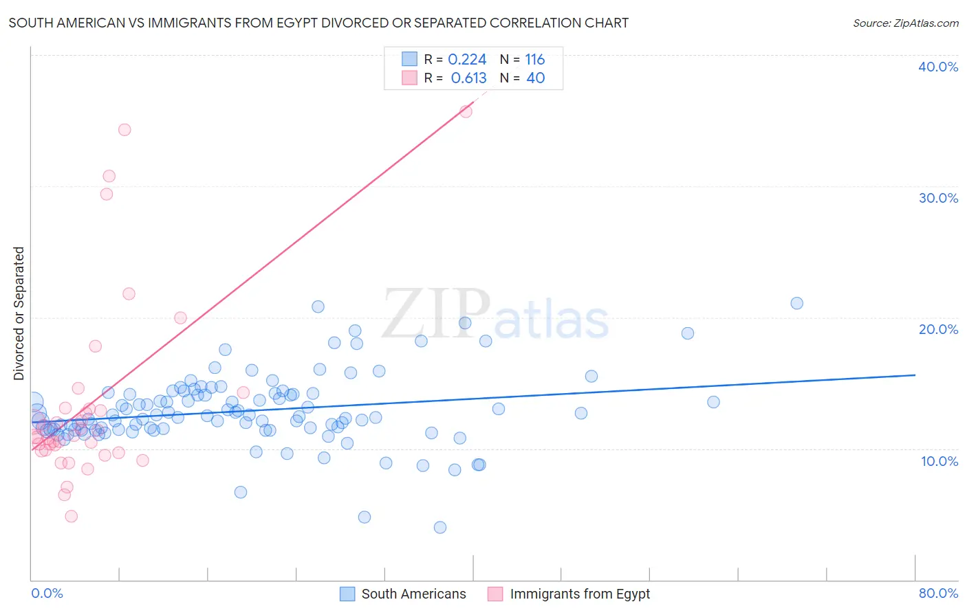 South American vs Immigrants from Egypt Divorced or Separated