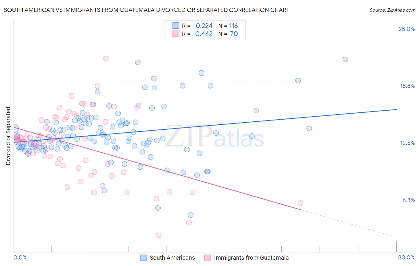 South American vs Immigrants from Guatemala Divorced or Separated