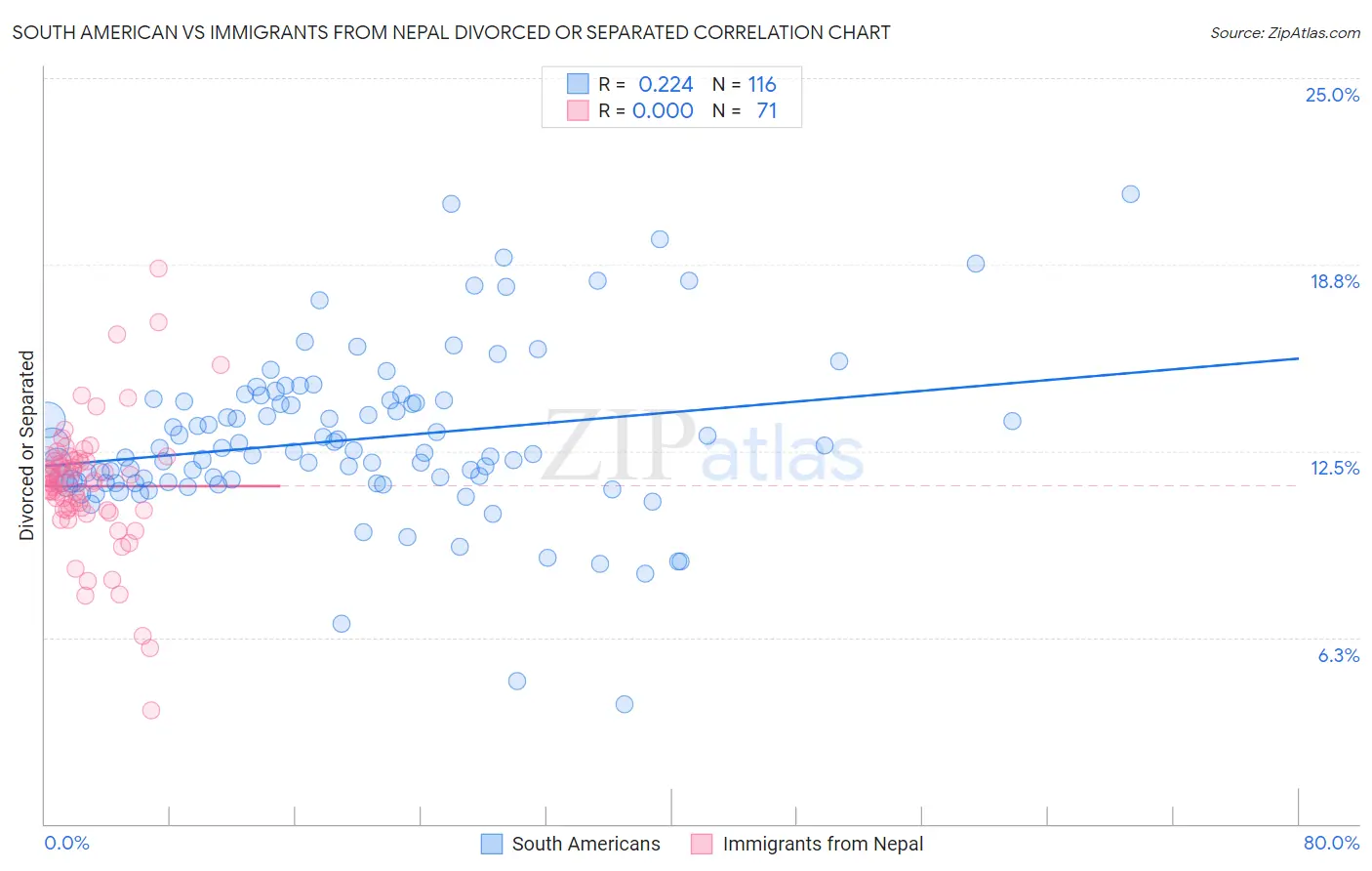 South American vs Immigrants from Nepal Divorced or Separated