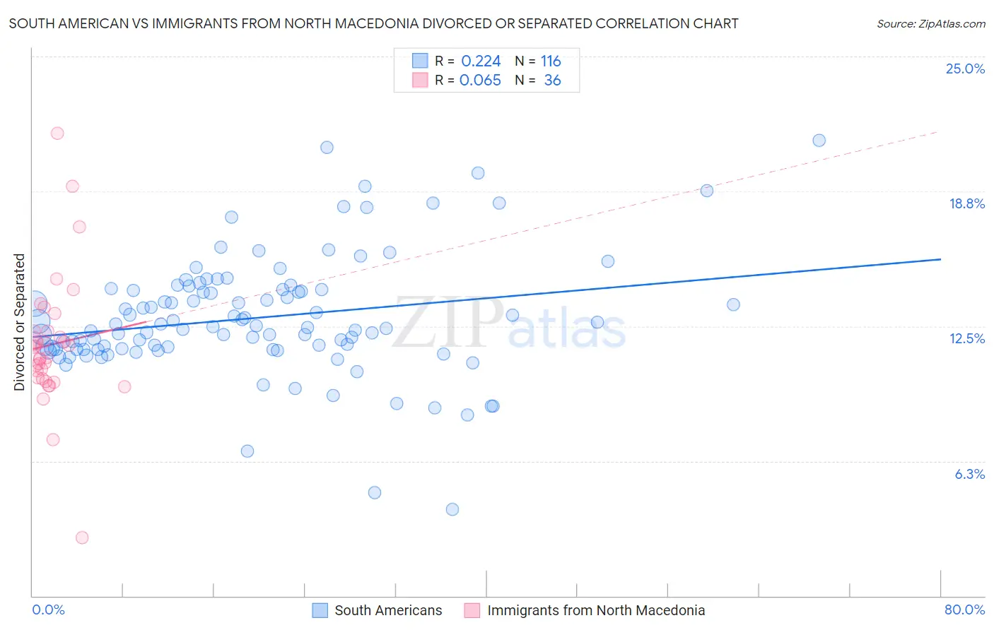 South American vs Immigrants from North Macedonia Divorced or Separated