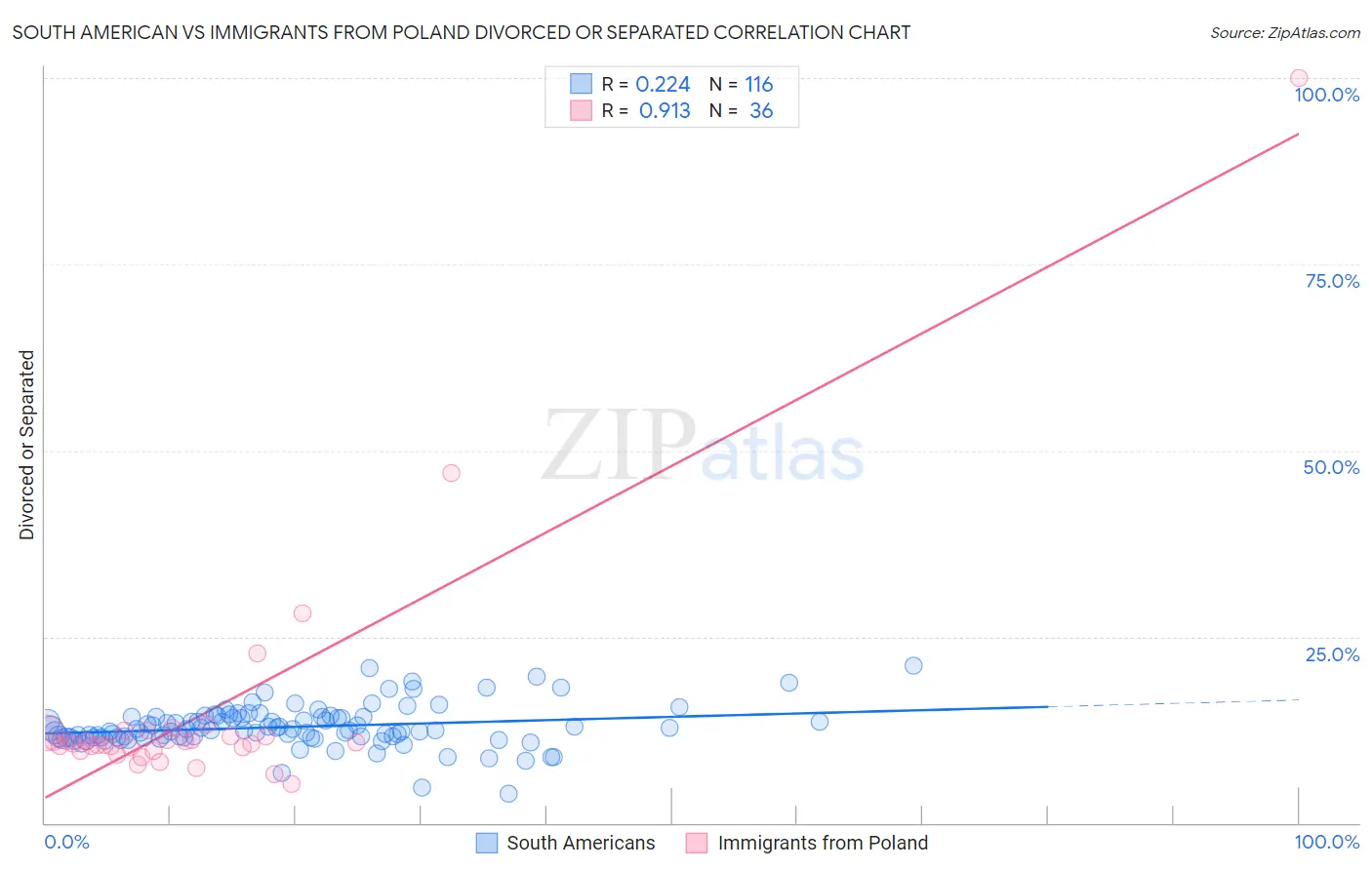 South American vs Immigrants from Poland Divorced or Separated
