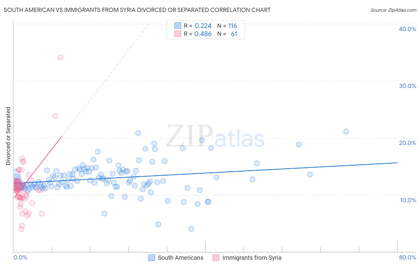 South American vs Immigrants from Syria Divorced or Separated
