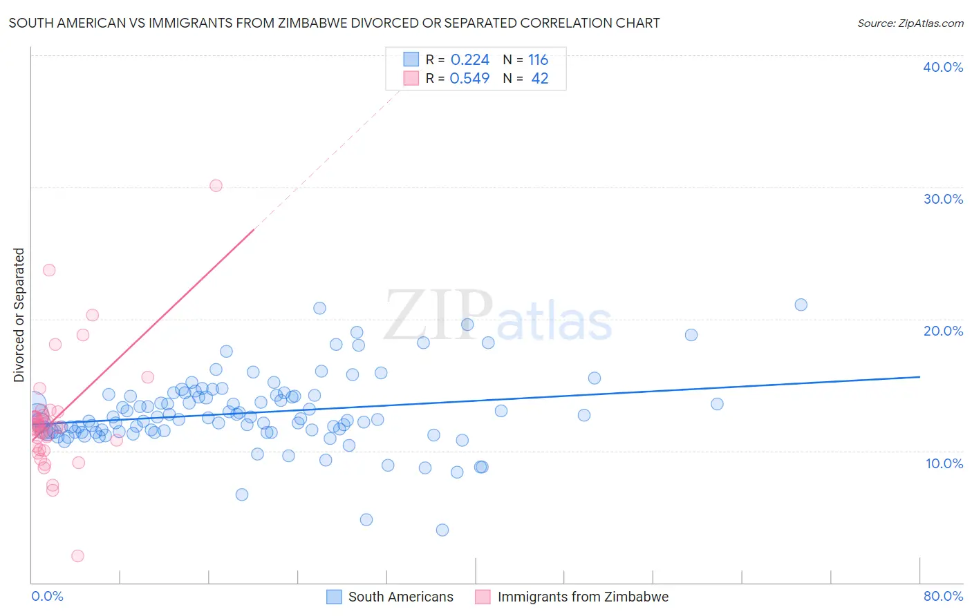 South American vs Immigrants from Zimbabwe Divorced or Separated