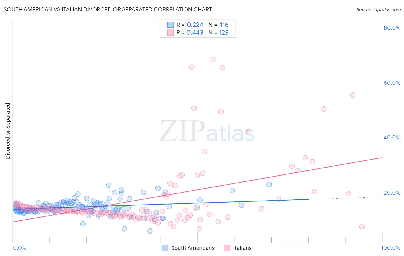 South American vs Italian Divorced or Separated