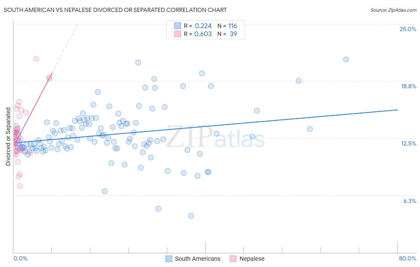South American vs Nepalese Divorced or Separated