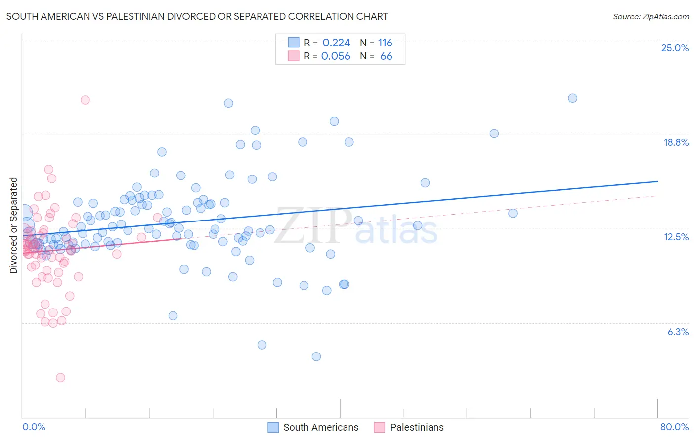 South American vs Palestinian Divorced or Separated