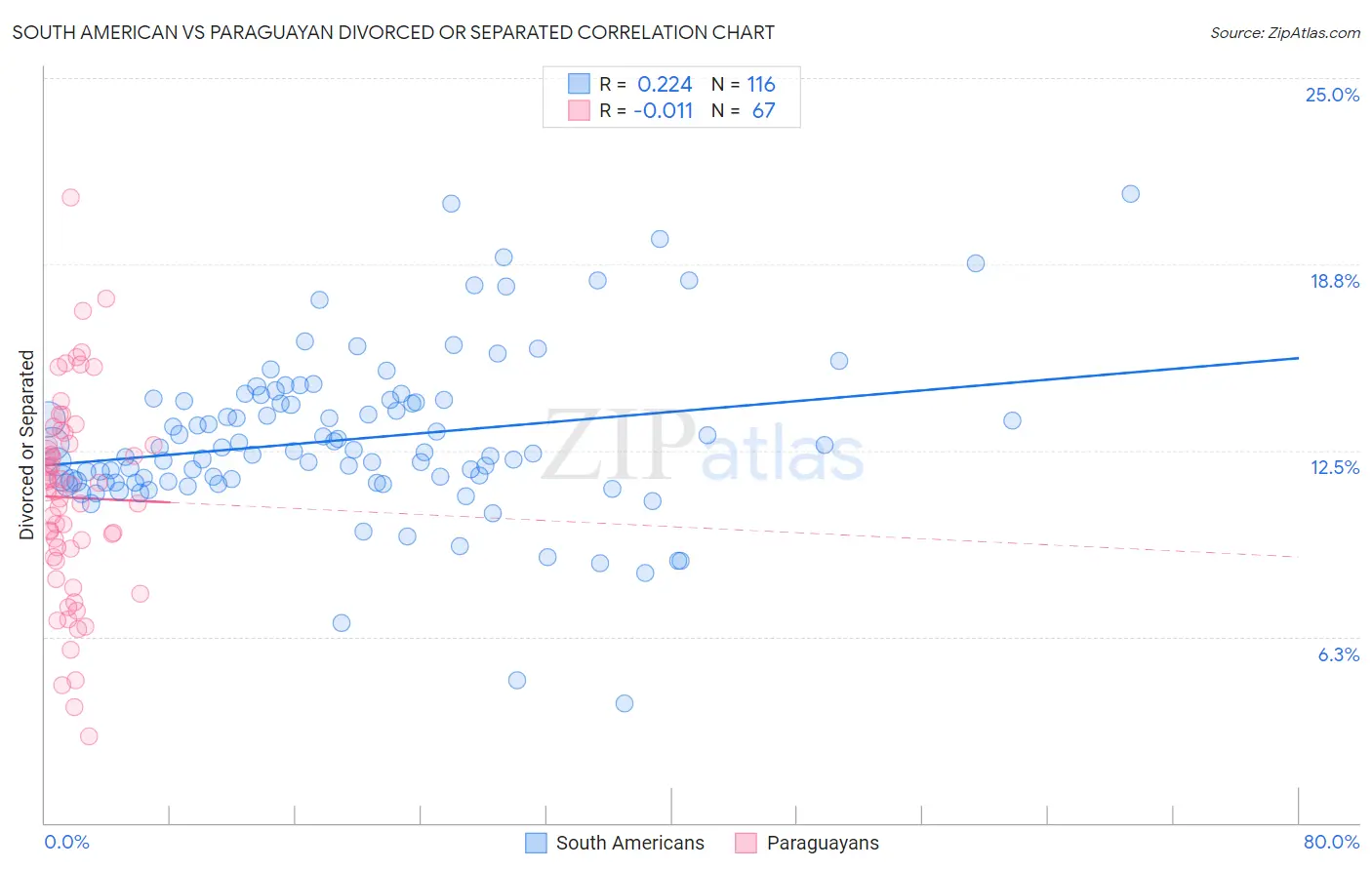 South American vs Paraguayan Divorced or Separated