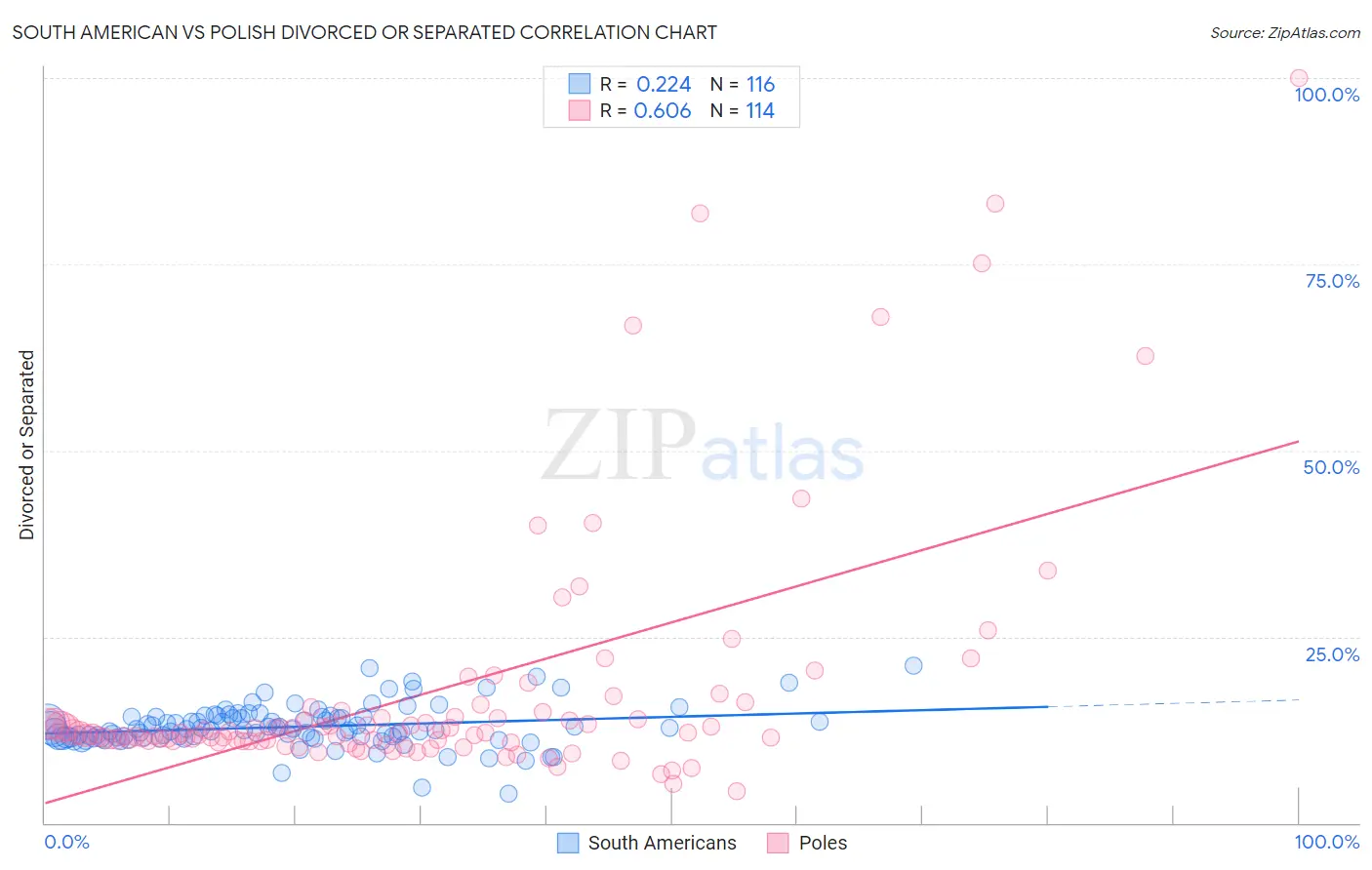 South American vs Polish Divorced or Separated