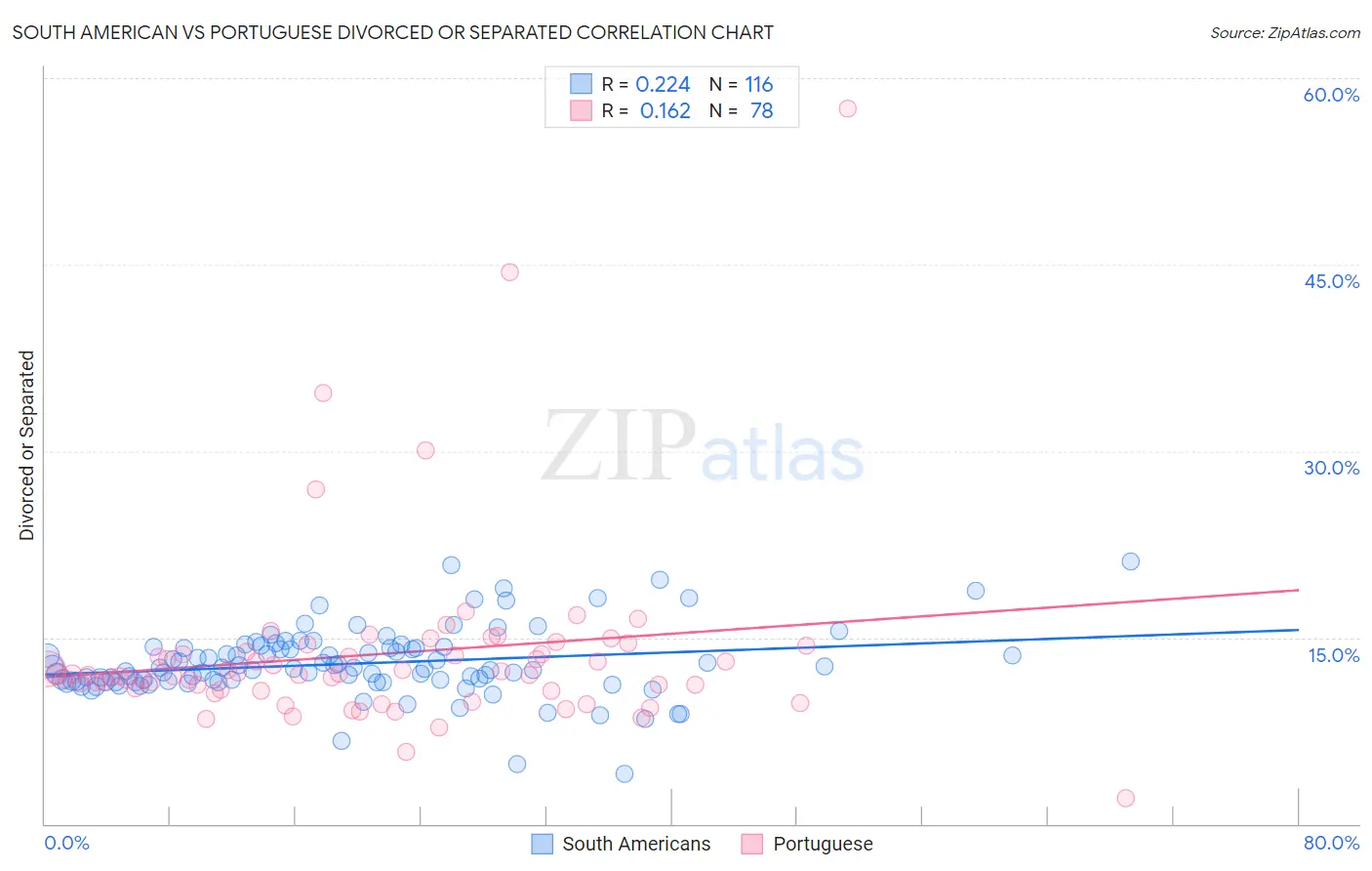 South American vs Portuguese Divorced or Separated