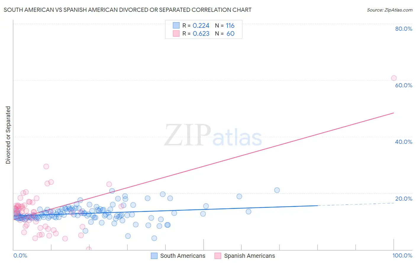 South American vs Spanish American Divorced or Separated