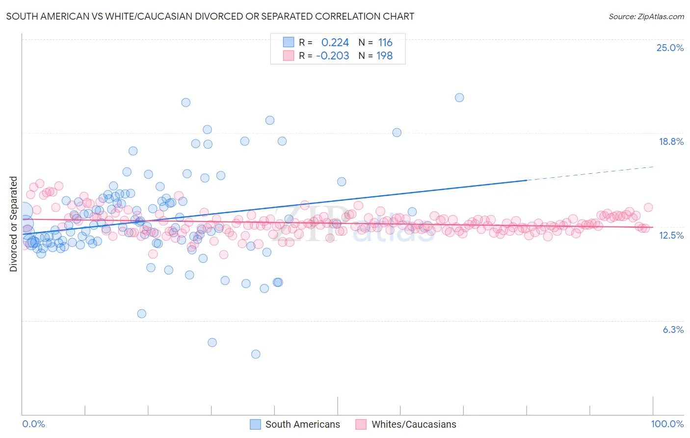 South American vs White/Caucasian Divorced or Separated