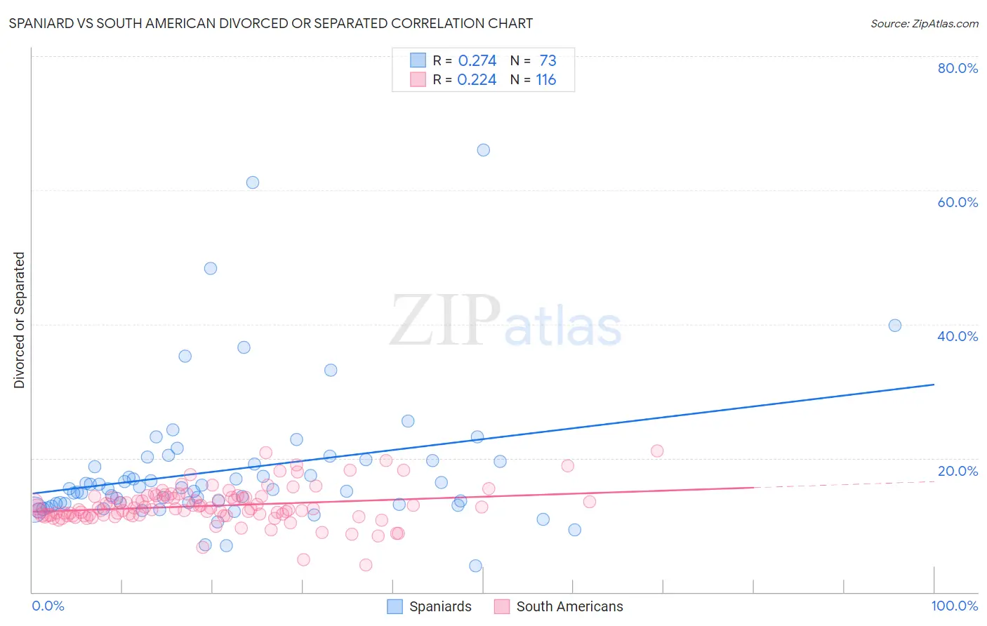 Spaniard vs South American Divorced or Separated