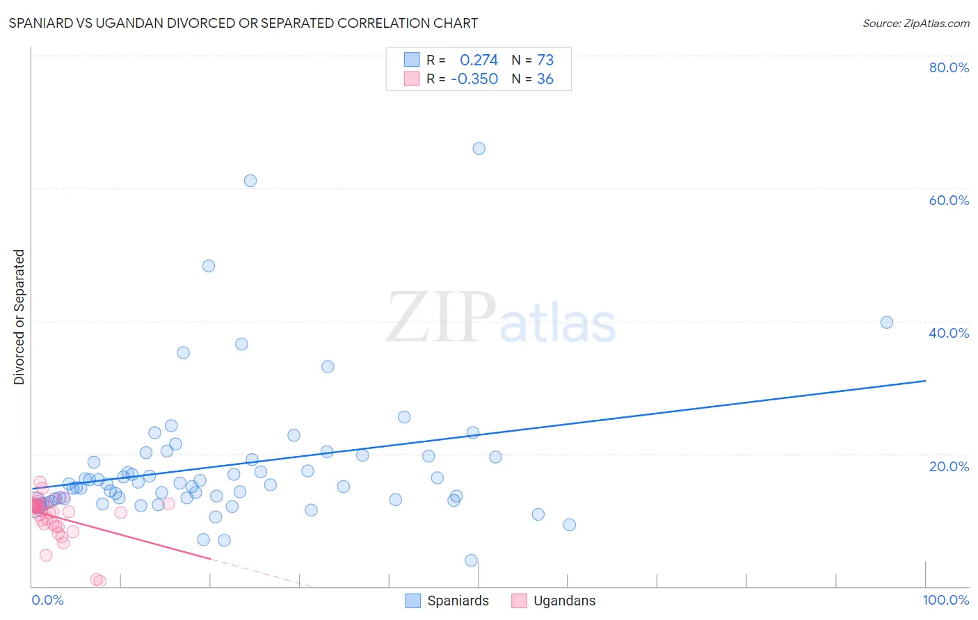 Spaniard vs Ugandan Divorced or Separated