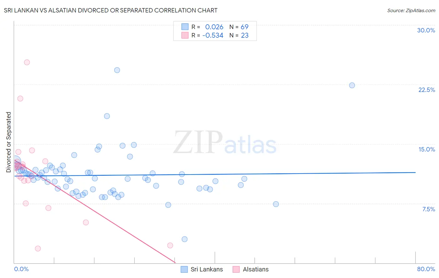 Sri Lankan vs Alsatian Divorced or Separated