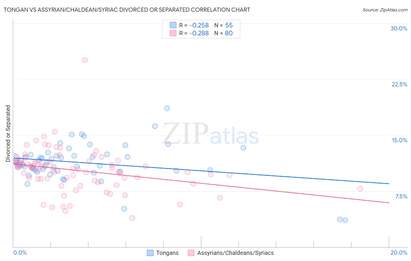 Tongan vs Assyrian/Chaldean/Syriac Divorced or Separated