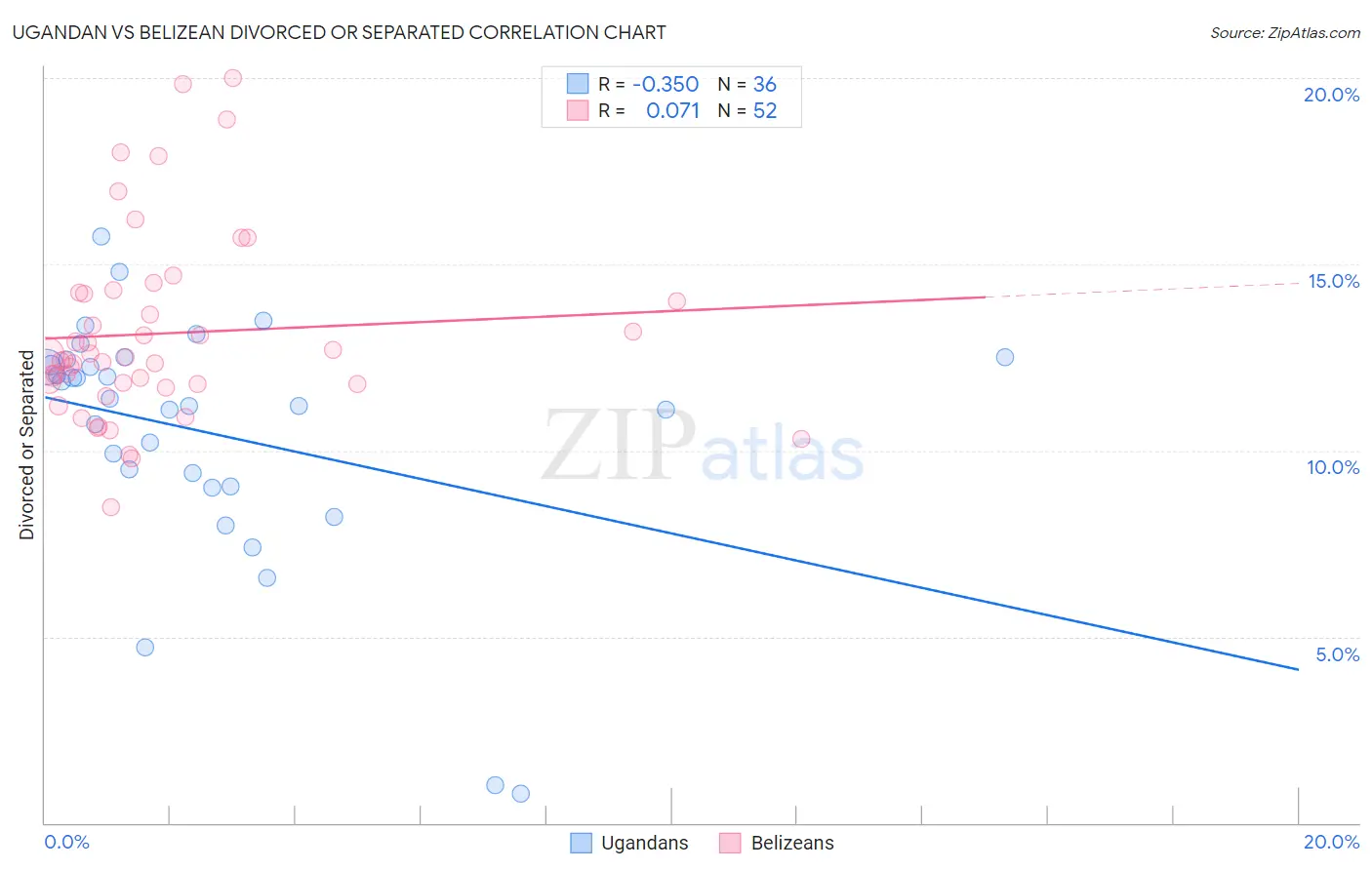 Ugandan vs Belizean Divorced or Separated