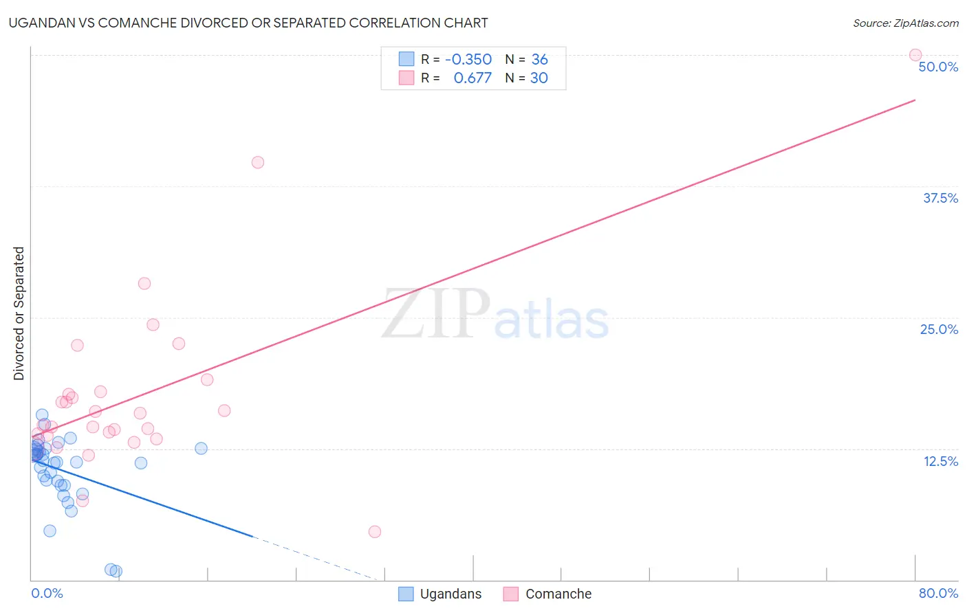 Ugandan vs Comanche Divorced or Separated