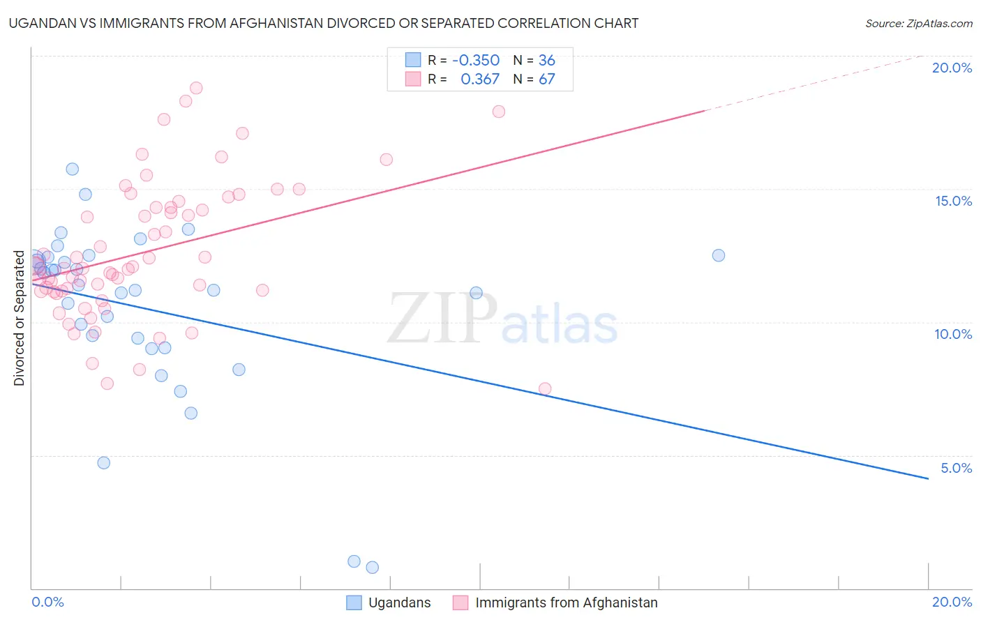 Ugandan vs Immigrants from Afghanistan Divorced or Separated