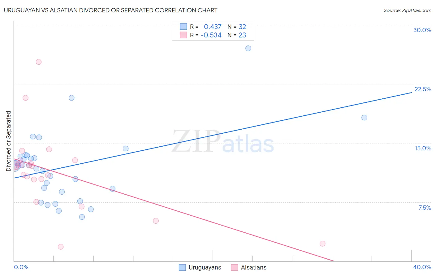 Uruguayan vs Alsatian Divorced or Separated