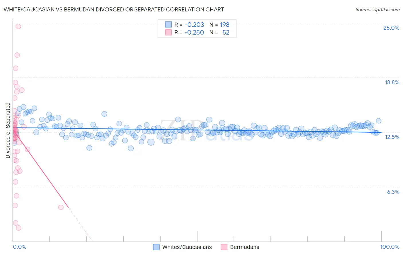 White/Caucasian vs Bermudan Divorced or Separated
