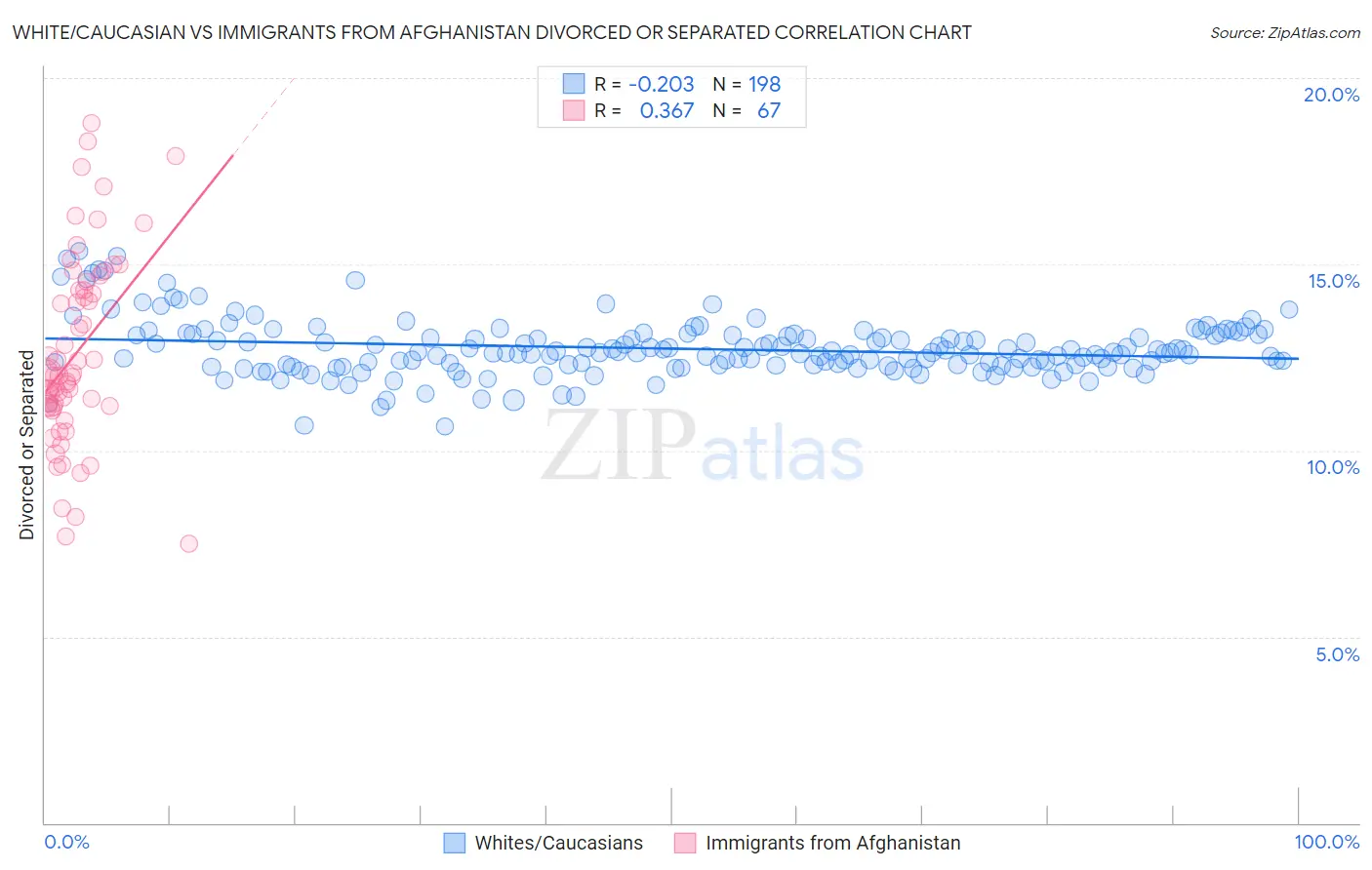 White/Caucasian vs Immigrants from Afghanistan Divorced or Separated