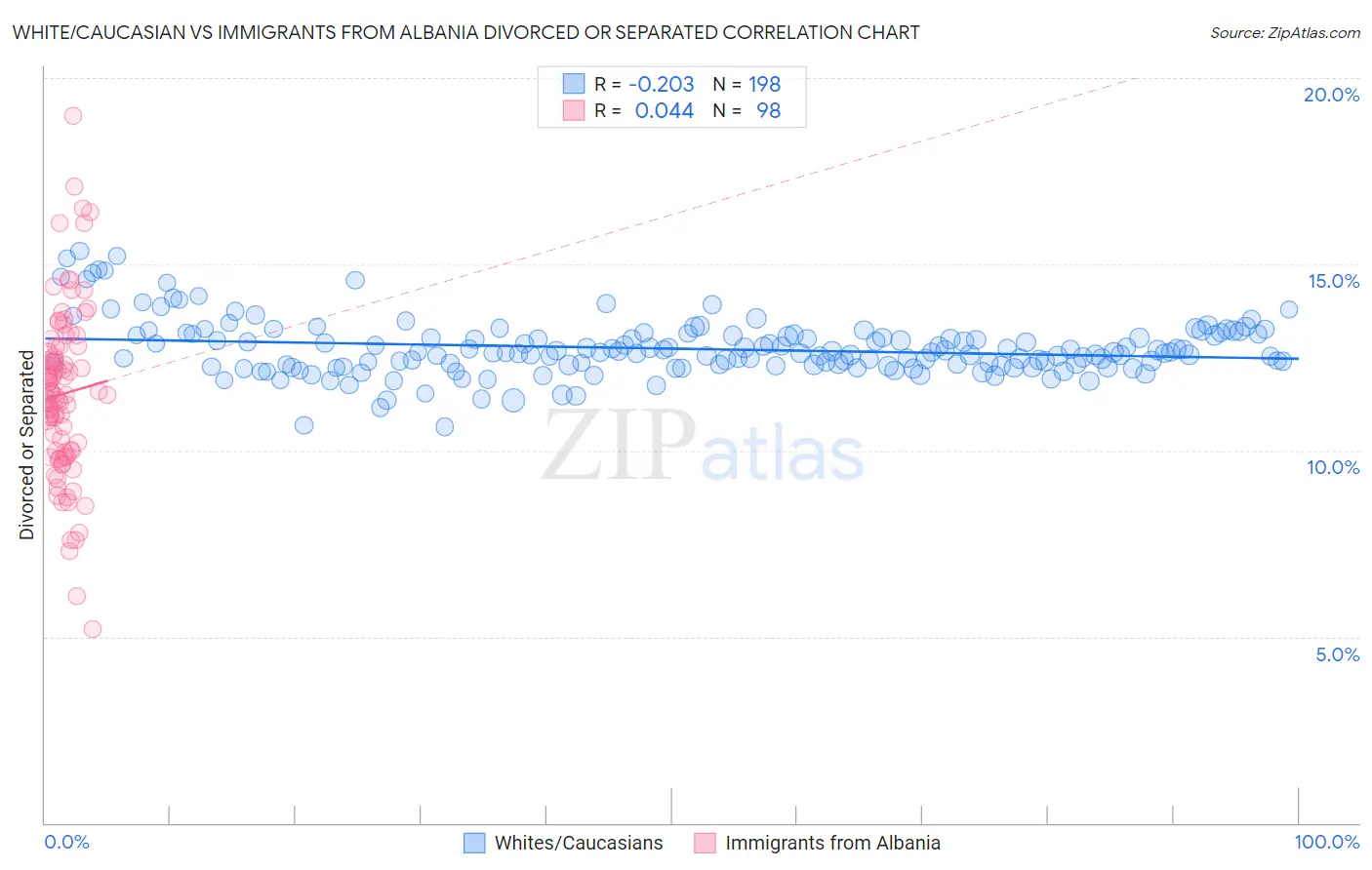 White/Caucasian vs Immigrants from Albania Divorced or Separated