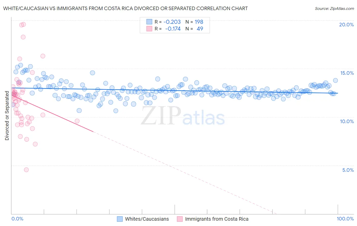 White/Caucasian vs Immigrants from Costa Rica Divorced or Separated