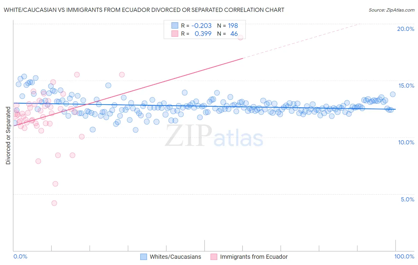 White/Caucasian vs Immigrants from Ecuador Divorced or Separated