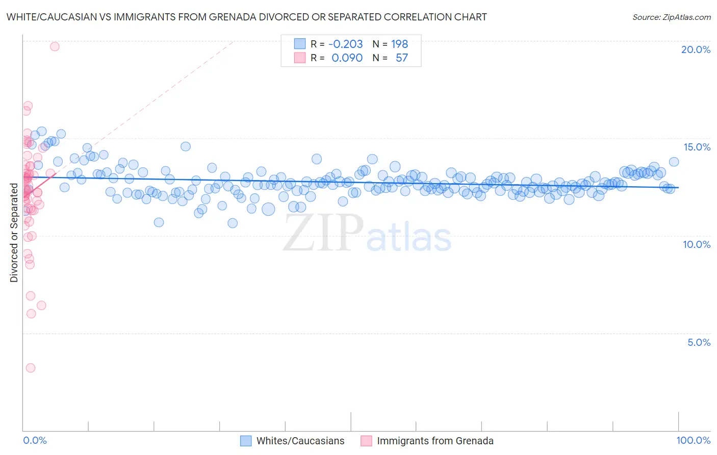 White/Caucasian vs Immigrants from Grenada Divorced or Separated