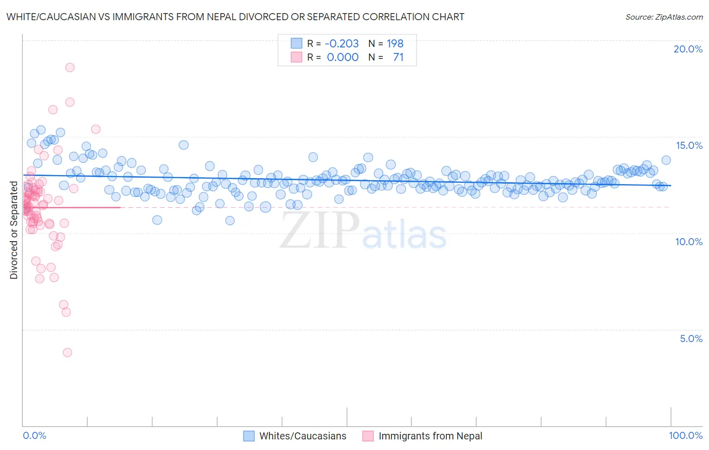 White/Caucasian vs Immigrants from Nepal Divorced or Separated