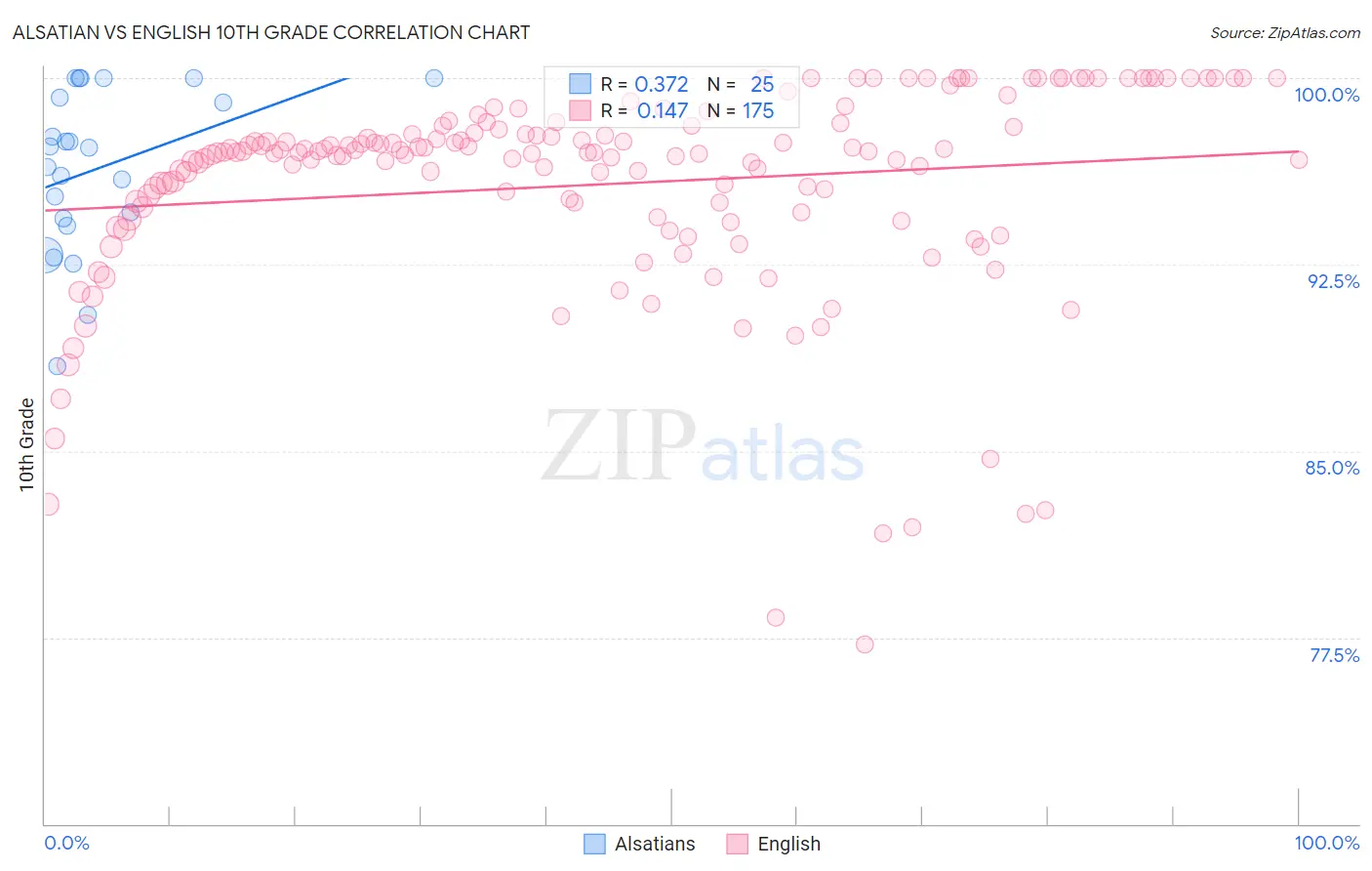 Alsatian vs English 10th Grade