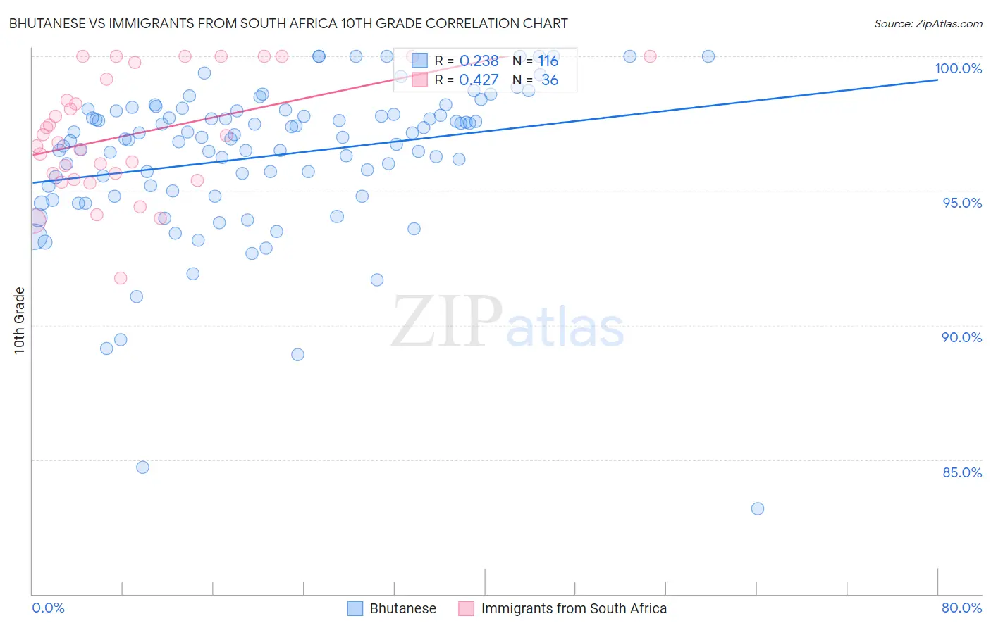 Bhutanese vs Immigrants from South Africa 10th Grade