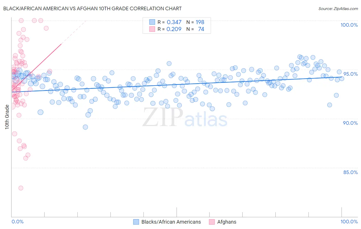 Black/African American vs Afghan 10th Grade