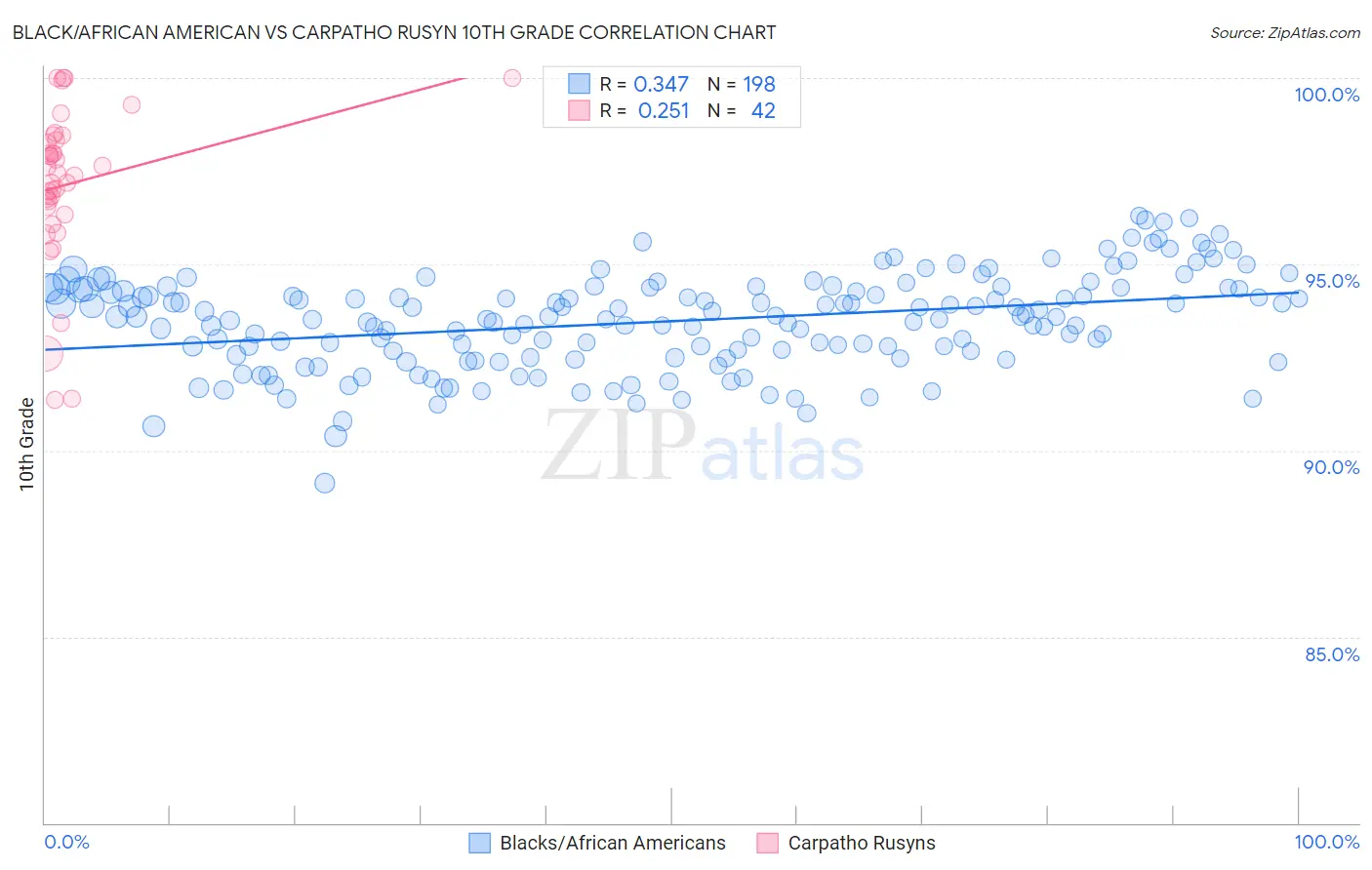 Black/African American vs Carpatho Rusyn 10th Grade