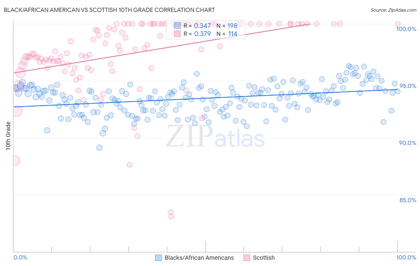 Black/African American vs Scottish 10th Grade