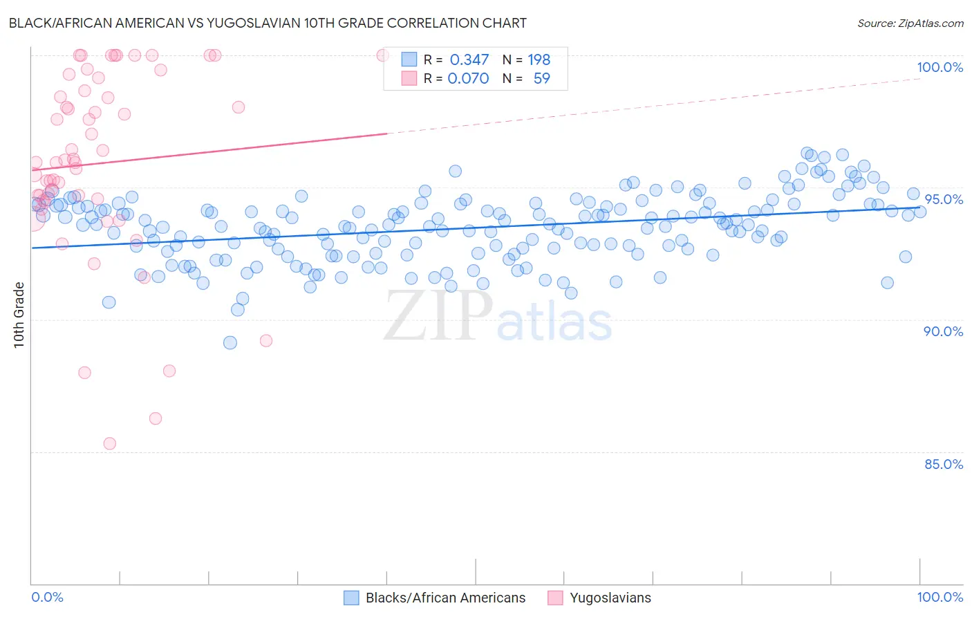 Black/African American vs Yugoslavian 10th Grade