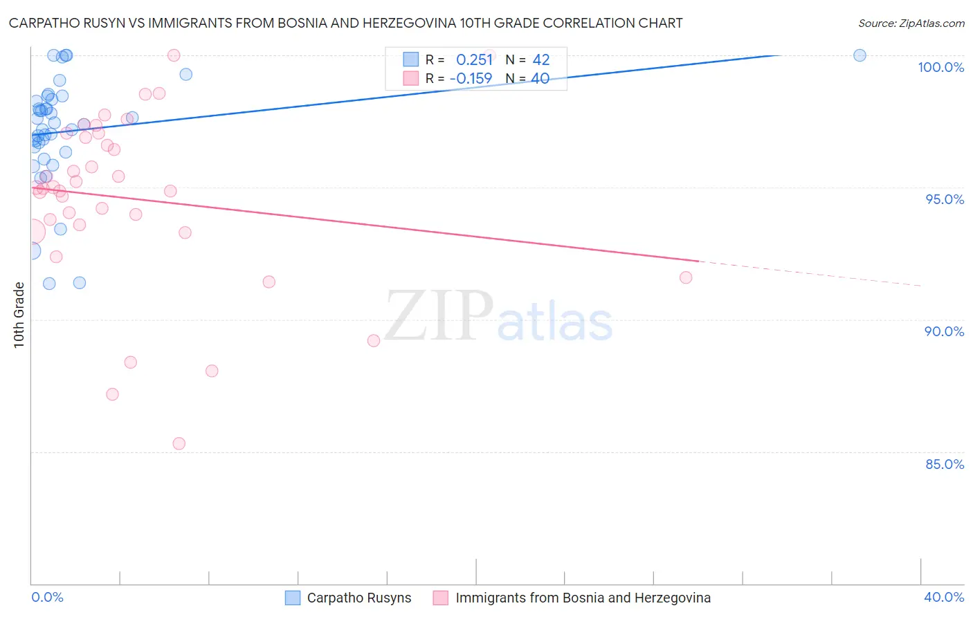 Carpatho Rusyn vs Immigrants from Bosnia and Herzegovina 10th Grade