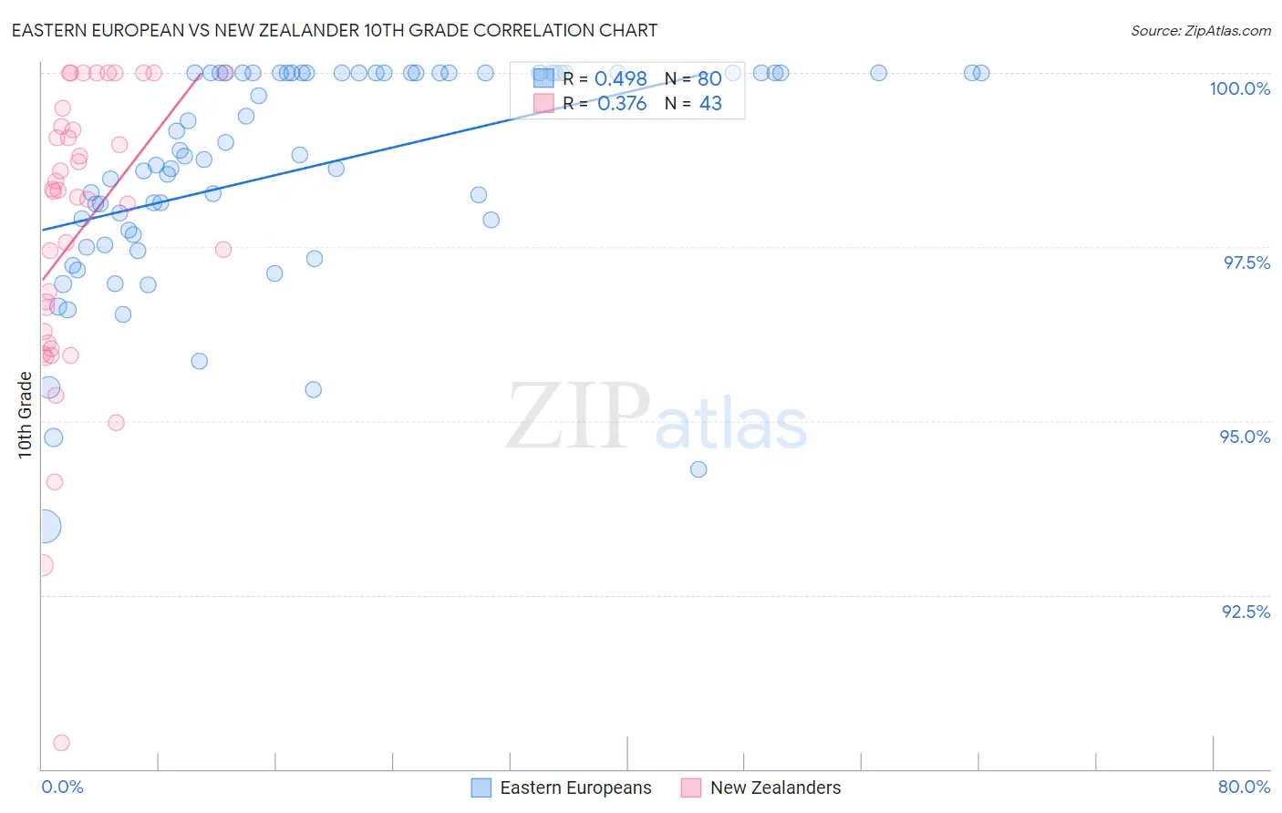Eastern European vs New Zealander 10th Grade