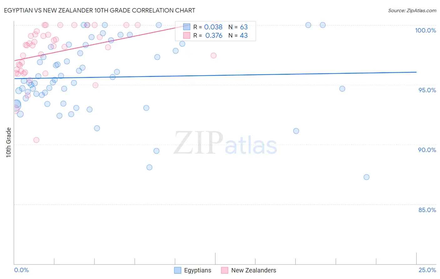 Egyptian vs New Zealander 10th Grade