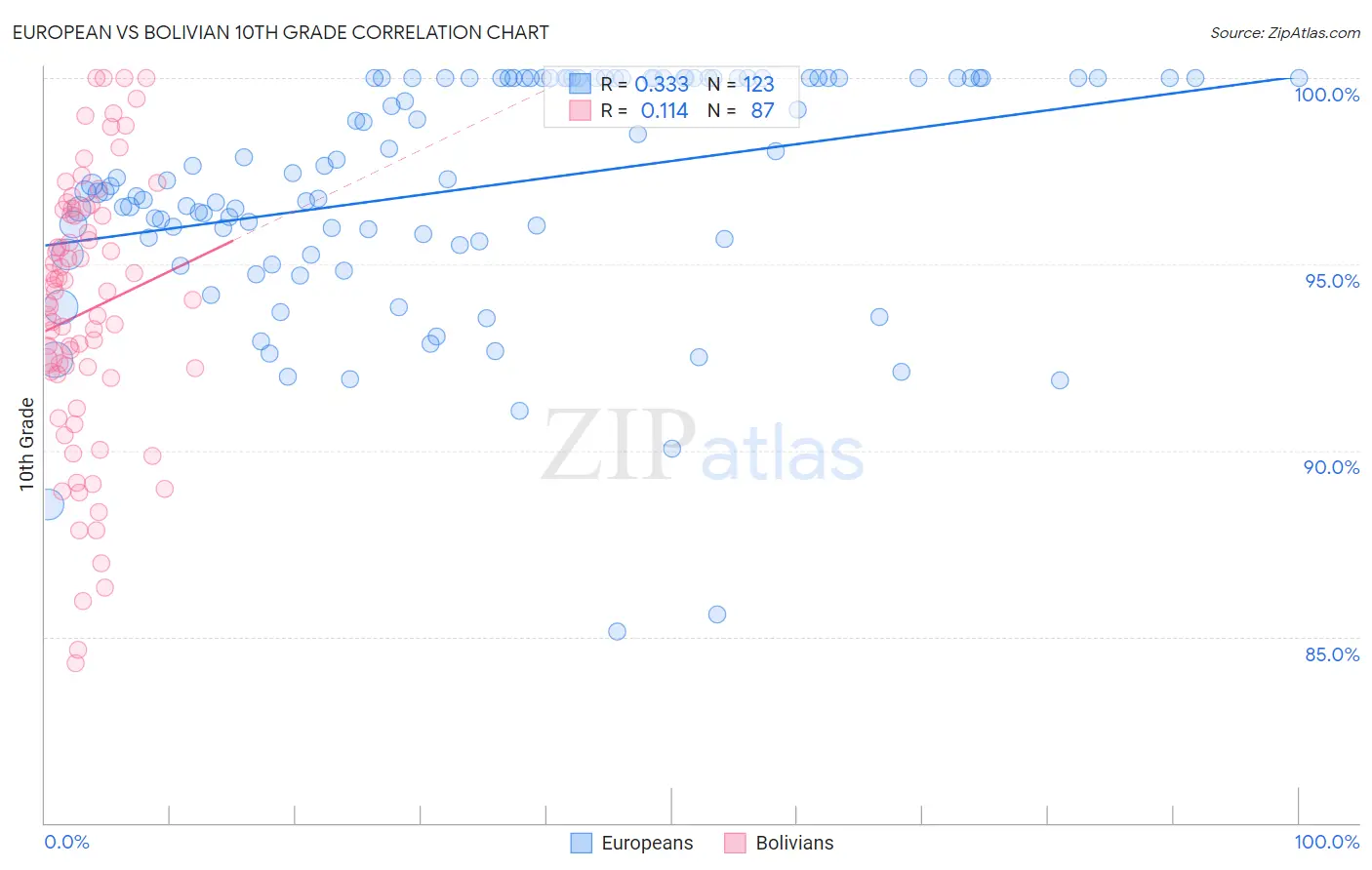 European vs Bolivian 10th Grade